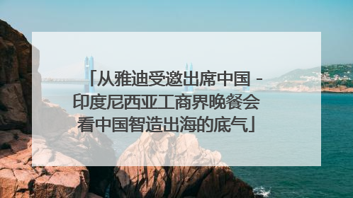 从雅迪受邀出席中国－印度尼西亚工商界晚餐会看中国智造出海的底气