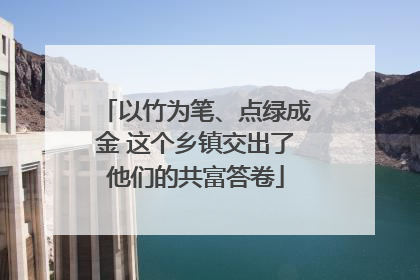以竹为笔、点绿成金 这个乡镇交出了他们的共富答卷