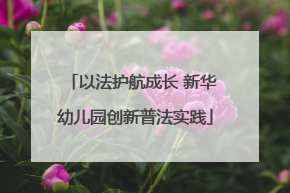 以法护航成长 新华幼儿园创新普法实践