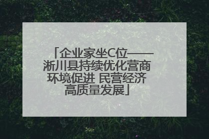 企业家坐C位——淅川县持续优化营商环境促进 民营经济高质量发展