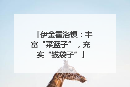 伊金霍洛镇：丰富“菜篮子”，充实“钱袋子”