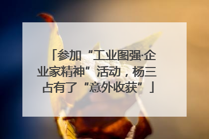 参加“工业图强·企业家精神”活动，杨三占有了“意外收获”