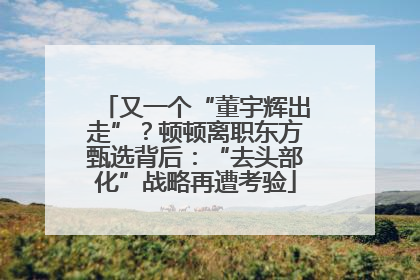 又一个“董宇辉出走”？顿顿离职东方甄选背后：“去头部化”战略再遭考验
