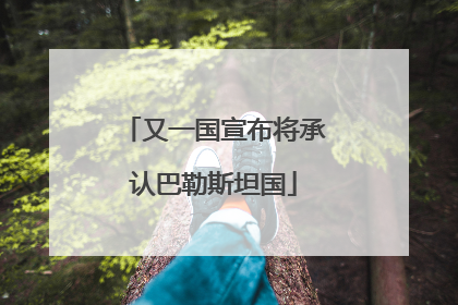 又一国宣布将承认巴勒斯坦国