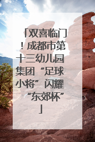 双喜临门！成都市第十三幼儿园集团“足球小将”闪耀“东郊杯”