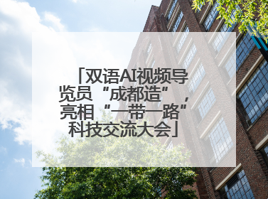 双语AI视频导览员“成都造”，亮相“一带一路”科技交流大会