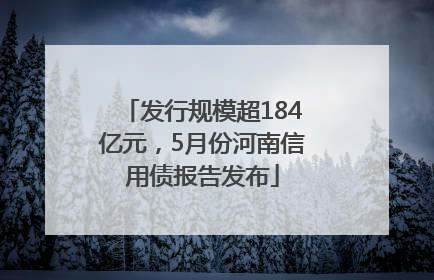 发行规模超184亿元，5月份河南信用债报告发布