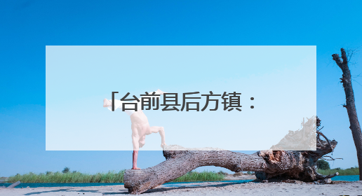 台前县后方镇：创新实干奏响招商引资“强音”