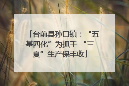 台前县孙口镇：“五基四化”为抓手 “三夏”生产保丰收