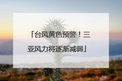 台风黄色预警！三亚风力将逐渐减弱