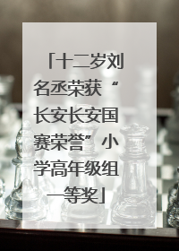十二岁刘名丞荣获“长安长安国赛荣誉”小学高年级组一等奖