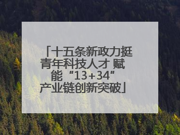 十五条新政力挺青年科技人才 赋能“13+34”产业链创新突破