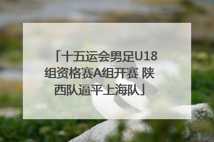 十五运会男足U18组资格赛A组开赛 陕西队逼平上海队