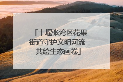 十堰张湾区花果街道守护文明河流 共绘生态画卷