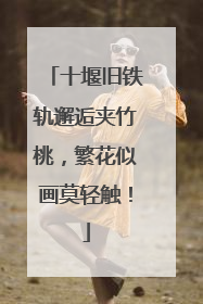 十堰旧铁轨邂逅夹竹桃，繁花似画莫轻触！