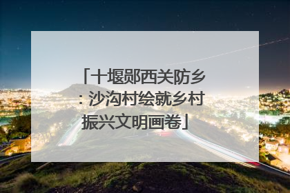 十堰郧西关防乡：沙沟村绘就乡村振兴文明画卷