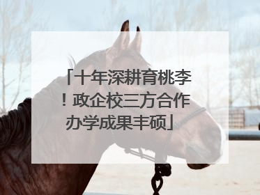 十年深耕育桃李！政企校三方合作办学成果丰硕