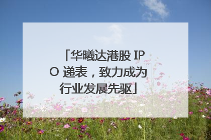 华曦达港股 IPO 递表，致力成为行业发展先驱