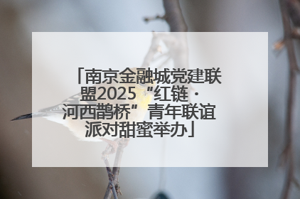 南京金融城党建联盟2025“红链・河西鹊桥”青年联谊派对甜蜜举办