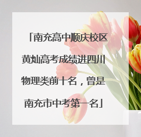 南充高中顺庆校区黄灿高考成绩进四川物理类前十名，曾是南充市中考第一名