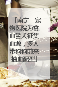 南宁一宠物医院为贫血警犬征集血源，多人带狗狗前来抽血配型