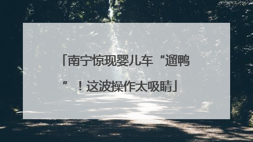 南宁惊现婴儿车“遛鸭”！这波操作太吸睛
