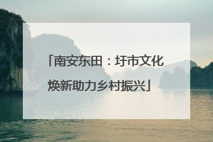 南安东田：圩市文化焕新助力乡村振兴
