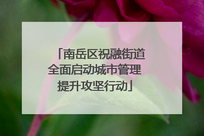 南岳区祝融街道全面启动城市管理提升攻坚行动