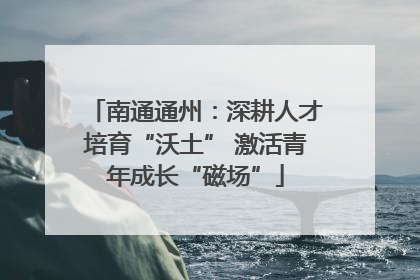南通通州：深耕人才培育“沃土” 激活青年成长“磁场”