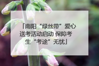 南阳“绿丝带”爱心送考活动启动 保障考生“考途”无忧
