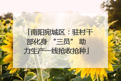 南阳宛城区：驻村干部化身 “三员” 助力生产一线抢收抢种