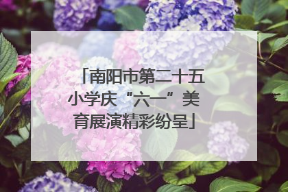 南阳市第二十五小学庆“六一”美育展演精彩纷呈