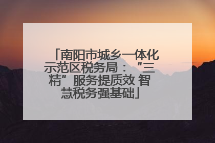 南阳市城乡一体化示范区税务局：“三精”服务提质效 智慧税务强基础