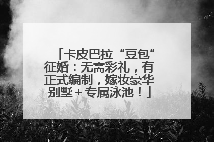 卡皮巴拉“豆包”征婚：无需彩礼，有正式编制，嫁妆豪华别墅＋专属泳池！