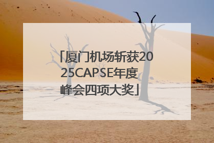 厦门机场斩获2025CAPSE年度峰会四项大奖