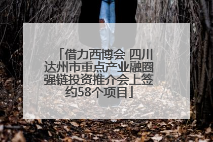 借力西博会 四川达州市重点产业融圈强链投资推介会上签约58个项目
