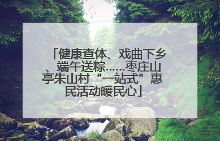 健康查体、戏曲下乡、端午送粽……枣庄山亭朱山村“一站式”惠民活动暖民心
