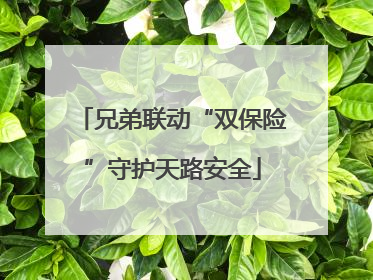 兄弟联动“双保险”守护天路安全