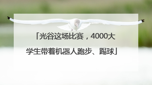 光谷这场比赛，4000大学生带着机器人跑步、踢球