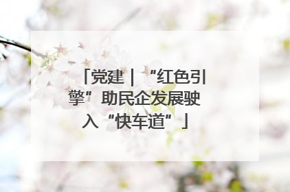党建｜“红色引擎”助民企发展驶入“快车道”