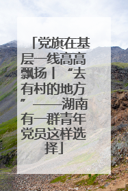党旗在基层一线高高飘扬丨“去有村的地方”——湖南有一群青年党员这样选择