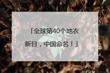 全球第40个地衣新目，中国命名！