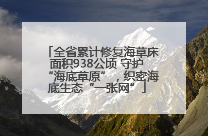 全省累计修复海草床面积938公顷 守护“海底草原”，织密海底生态“一张网”