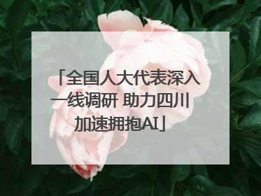 全国人大代表深入一线调研 助力四川加速拥抱AI