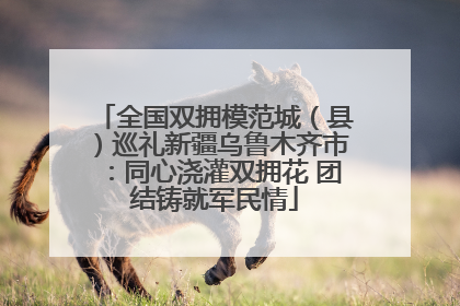 全国双拥模范城（县）巡礼新疆乌鲁木齐市：同心浇灌双拥花 团结铸就军民情