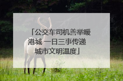 公交车司机善举暖港城 一日三事传递城市文明温度