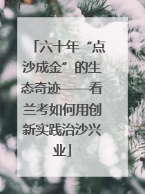 六十年“点沙成金”的生态奇迹——看兰考如何用创新实践治沙兴业