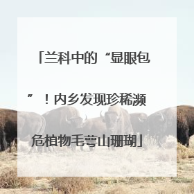 兰科中的“显眼包”！内乡发现珍稀濒危植物毛萼山珊瑚