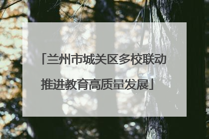兰州市城关区多校联动推进教育高质量发展