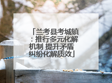兰考县考城镇：推行多元化解机制 提升矛盾纠纷化解质效